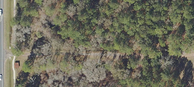 Waldo, FL 32694