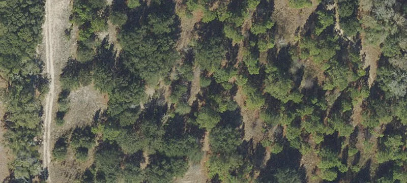 Bristol Hwy
