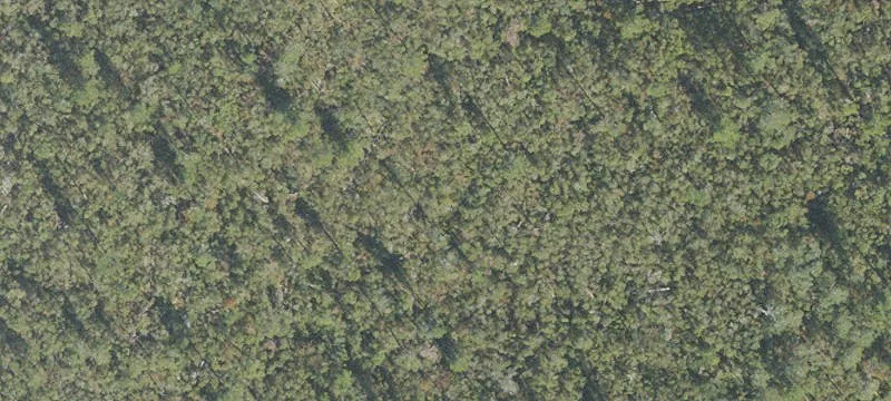 Deltona, FL 32725
