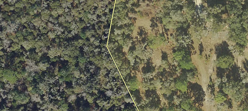 Pilots Path