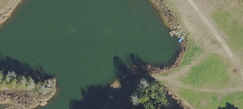 Williston, FL 32696