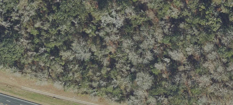Blue Star Hwy