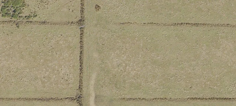 2800 Tomoka Farms Rd