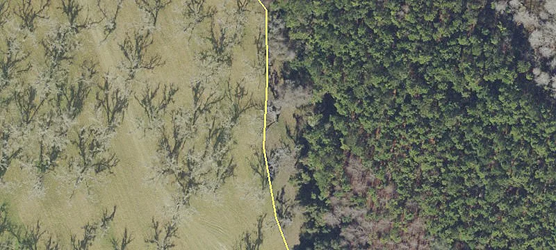 Hawthorne, FL 32640