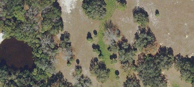 Anclote Rd