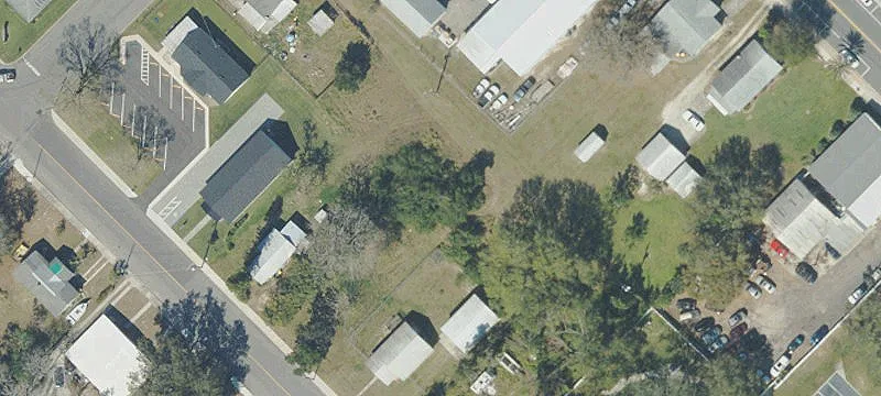 Palmetto St
