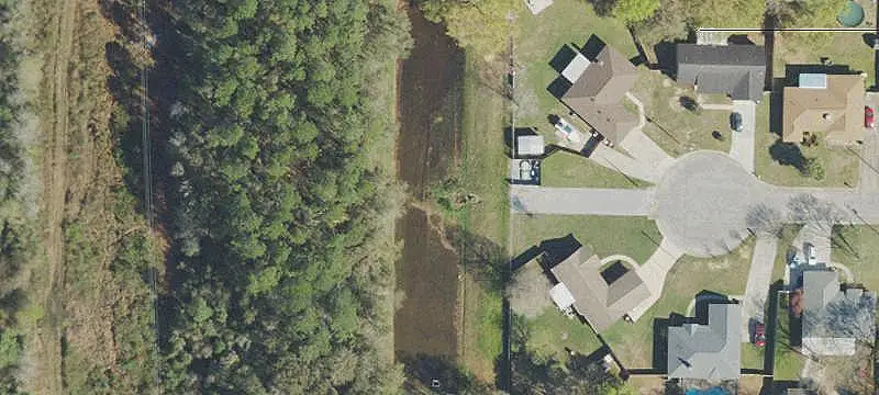 Twisted Oak Dr
