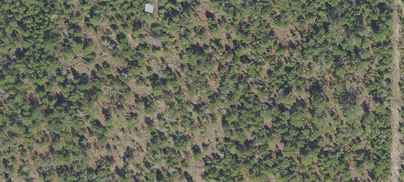 Tallahassee Blvd