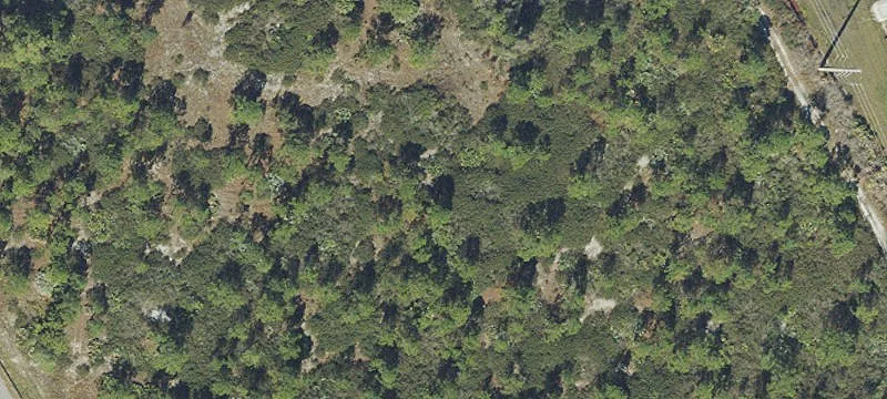 Martin Hwy