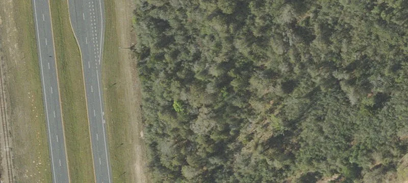 Hwy 231
