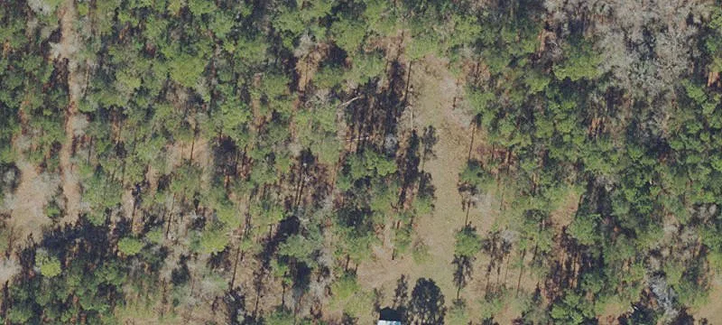 Waldo, FL 32694