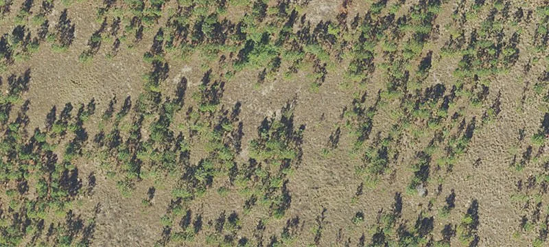 Mammoth Grv Rd