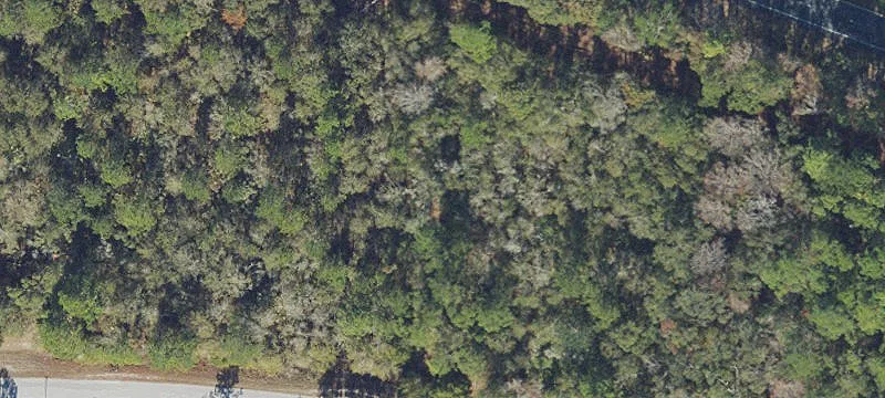 Hwy 19