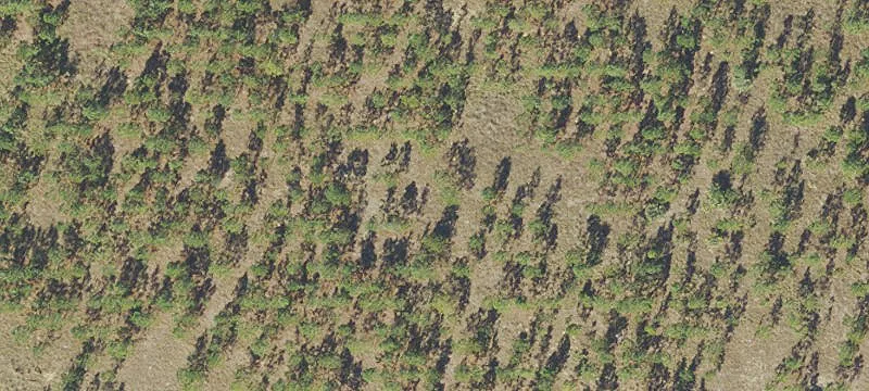 Mammoth Grv Rd