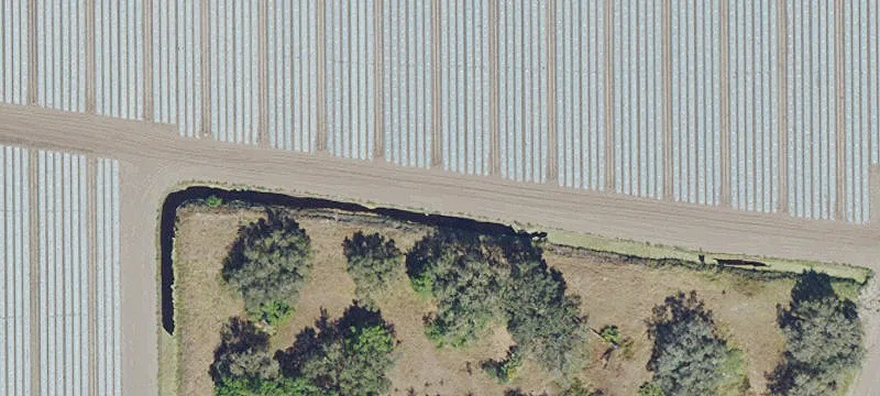 Labelle, FL 33935