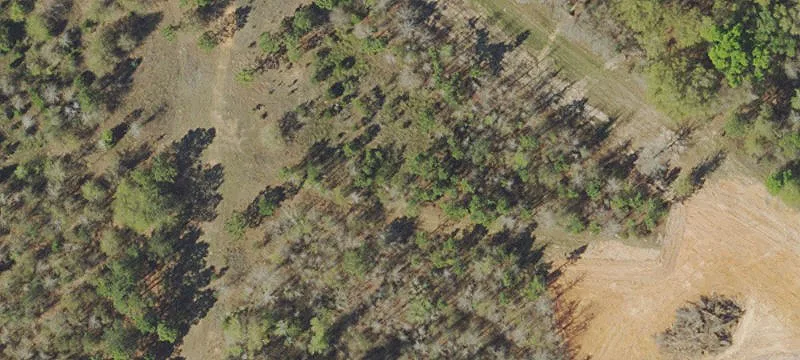 2955 Hwy 231