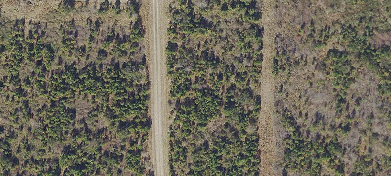 Waldo, FL 32694