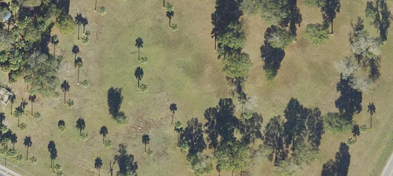 Cross City, FL 32628