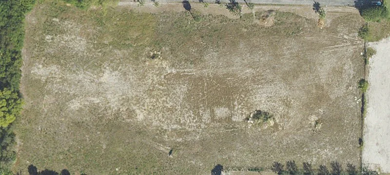 1501 Florida Mango Rd