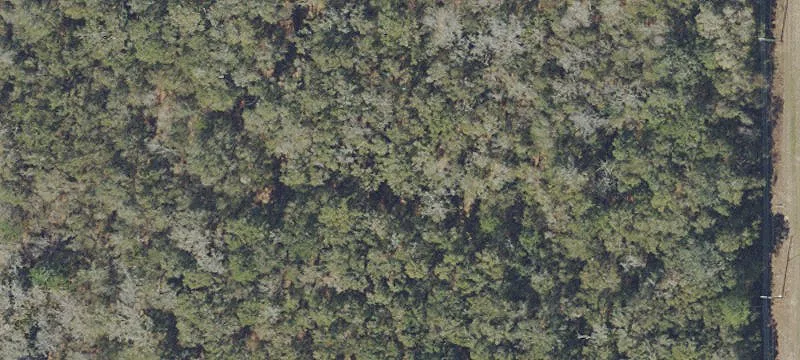 Gainesville, FL 32641