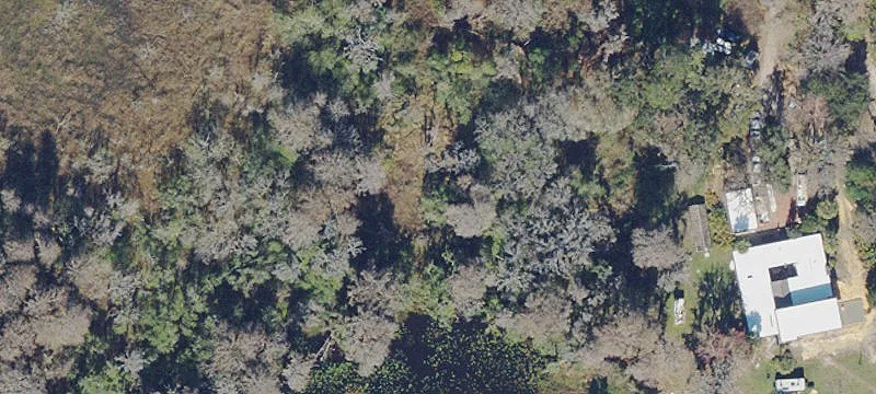 Waldo, FL 32694