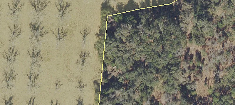 Hawthorne, FL 32640