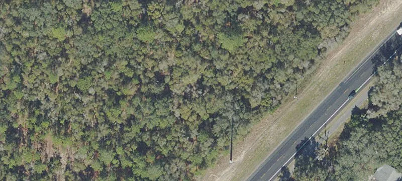 State Rd 21