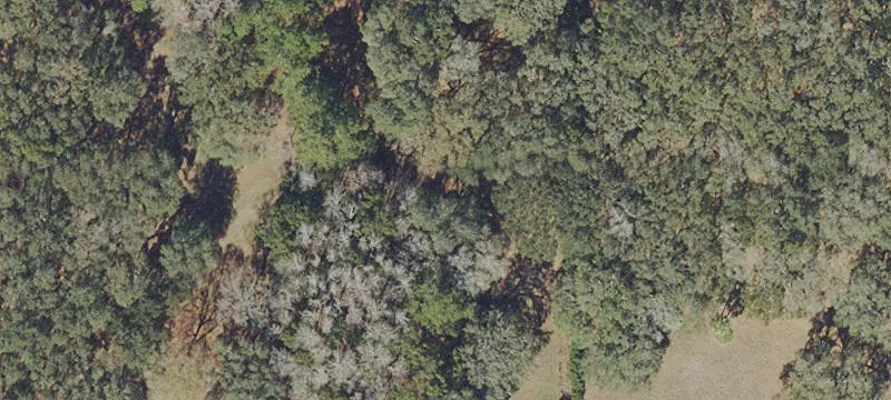Hawthorne, FL 32640