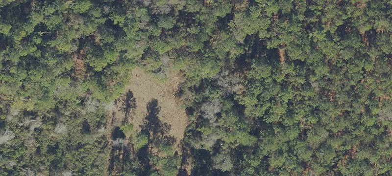 Hawthorne, FL 32640
