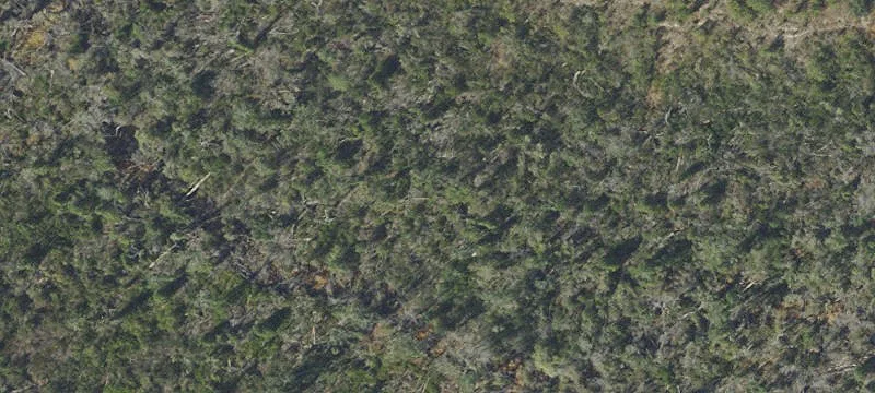  NW