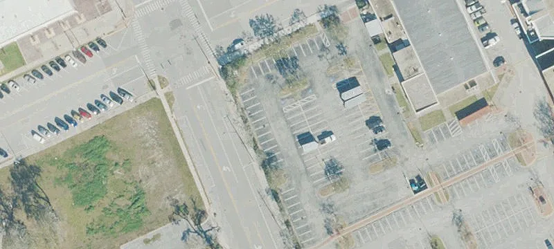 Palmetto Ave