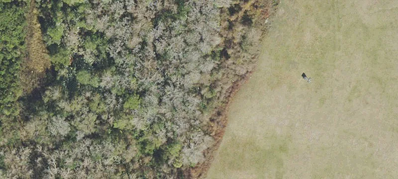 Mims, FL 32754