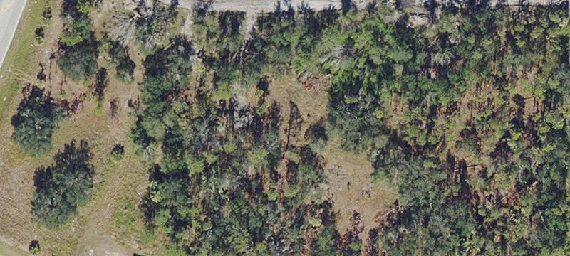 12354 County Rd 769