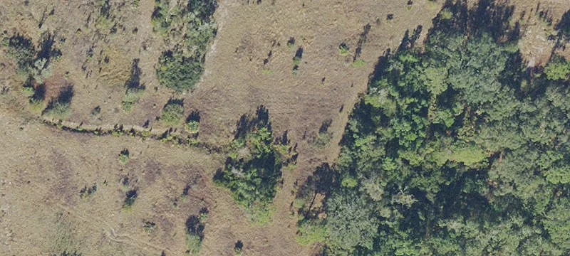 Clermont, FL 34711