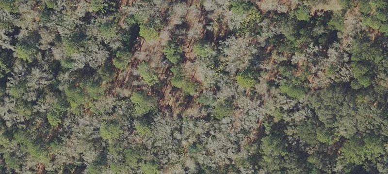 Waldo, FL 32694