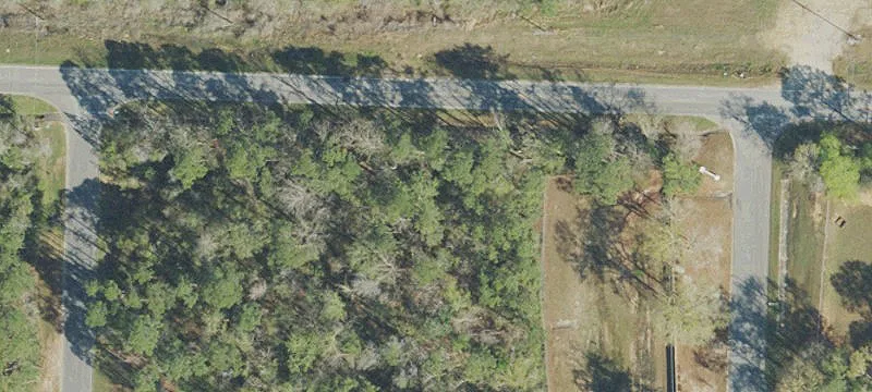 Southern Oaks Dr