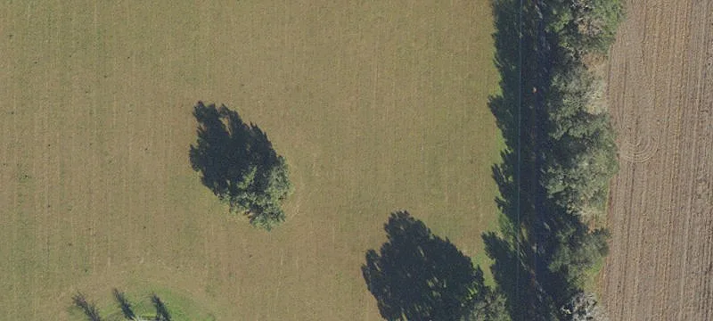 Alachua, FL 32615
