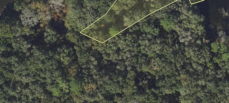 Dade City, FL 33523