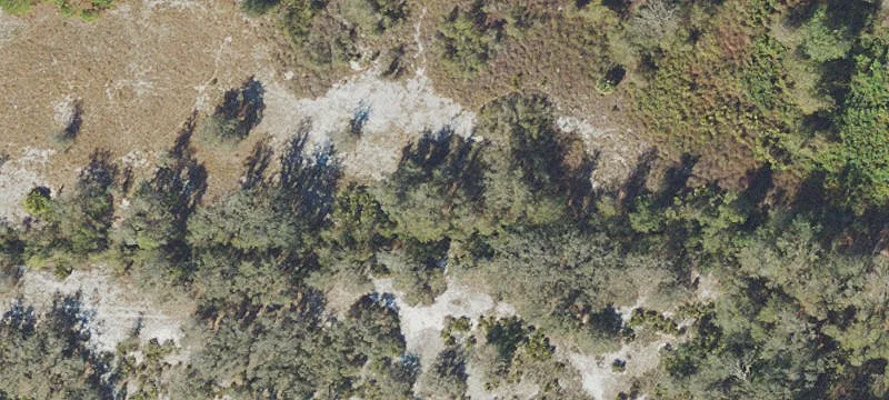 Old Bartow Lk Wales Rd