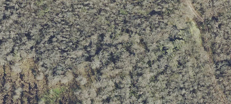 Osceola Rd
