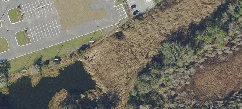 Lutz, FL 33559