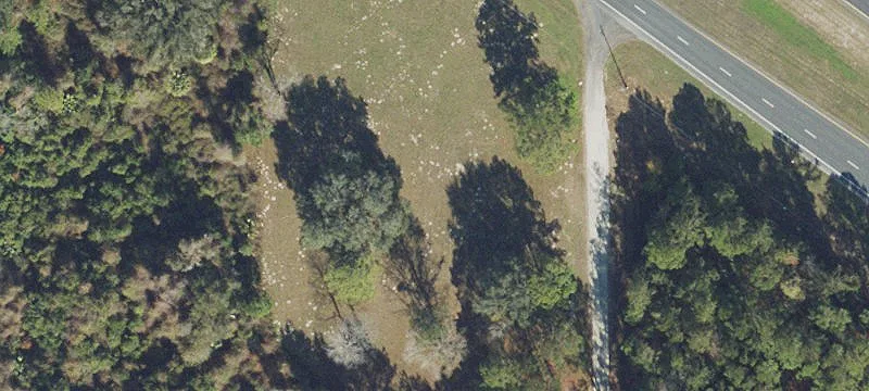 Us Hwy 19