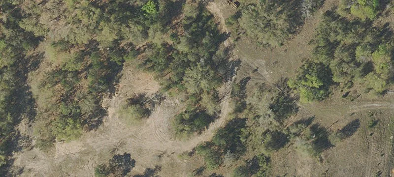 Hwy 231