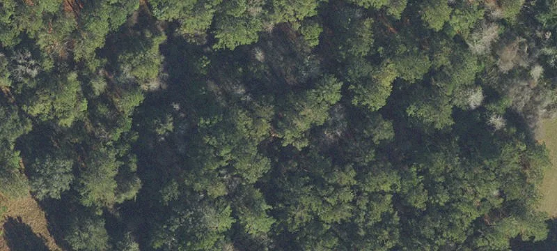 Alachua, FL 32615