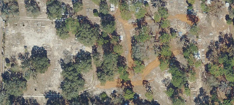 Jasmine Ave