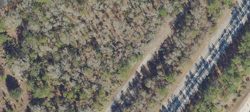Woods Ln