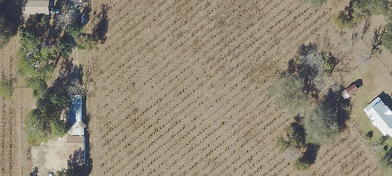 Waldo, FL 32694