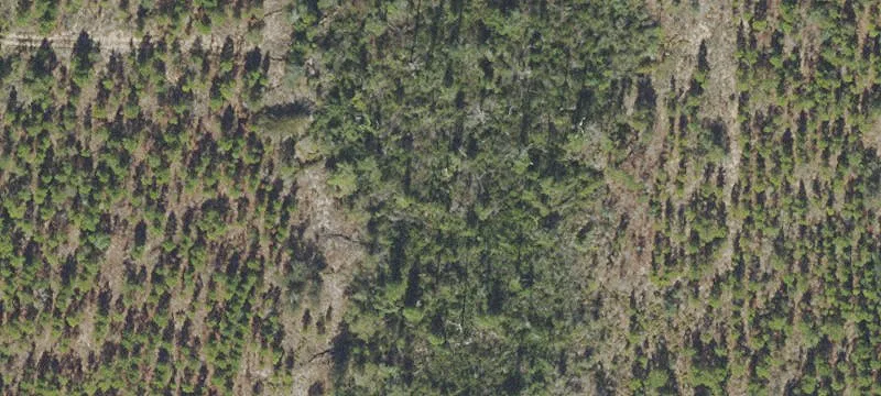 Timber Lk Rnch Sd