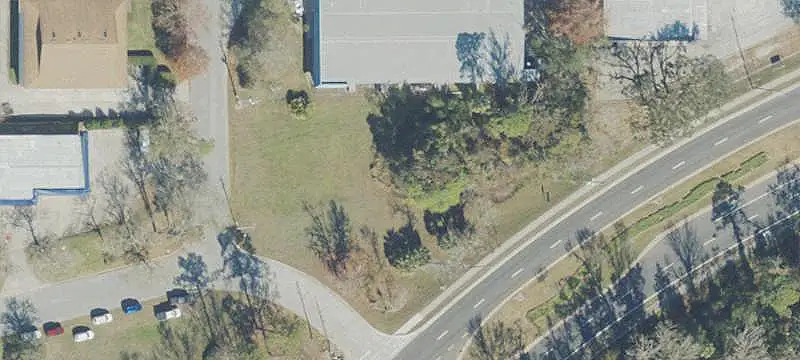 Big Tree Dr