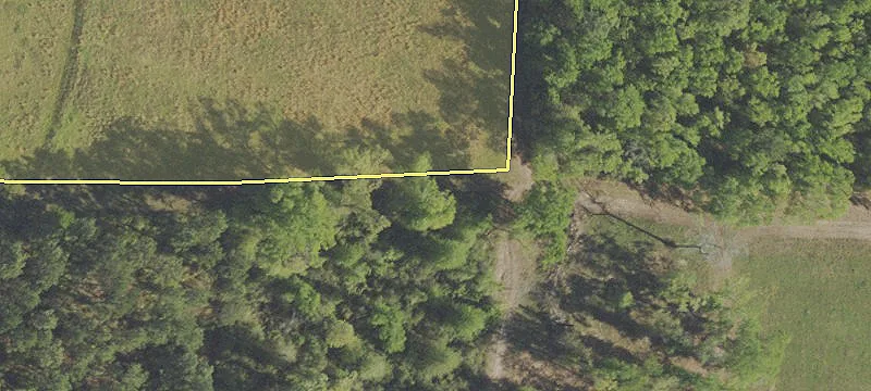 Piney Grv Rd